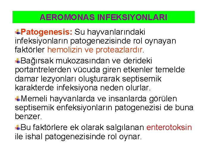 AEROMONAS INFEKSIYONLARI Patogenesis: Su hayvanlarındaki infeksiyonların patogenezisinde rol oynayan faktörler hemolizin ve proteazlardır. Bağırsak