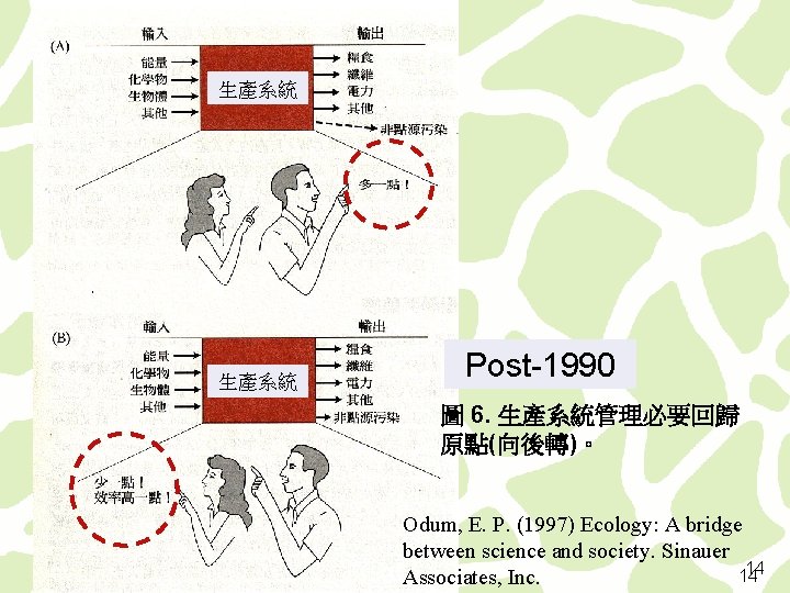 生產系統 Post-1990 圖 6. 生產系統管理必要回歸 原點(向後轉)。 Odum, E. P. (1997) Ecology: A bridge between