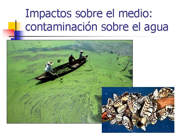 Impactos sobre el medio: contaminación sobre el agua 