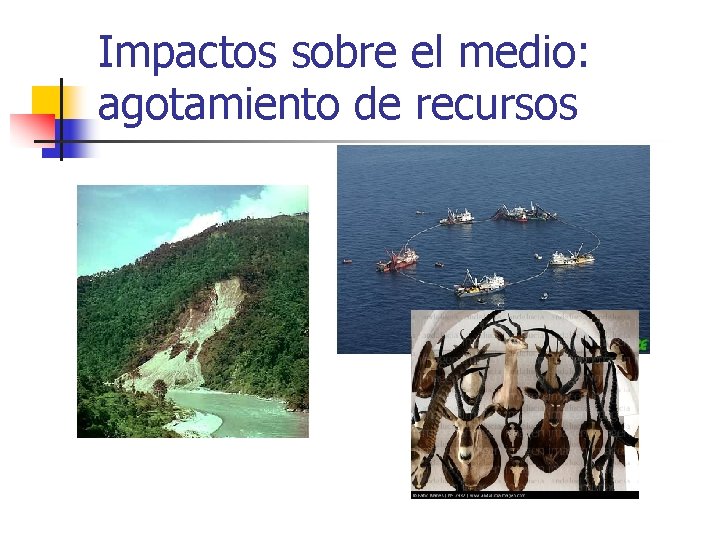 Impactos sobre el medio: agotamiento de recursos 