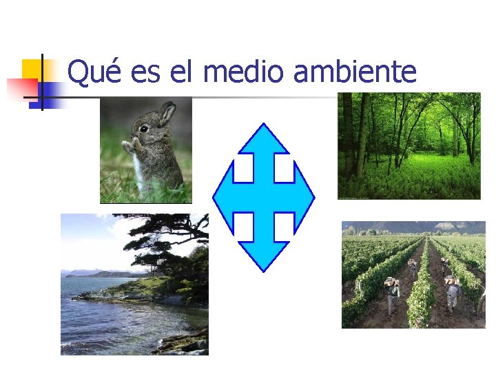 Qué es el medio ambiente 