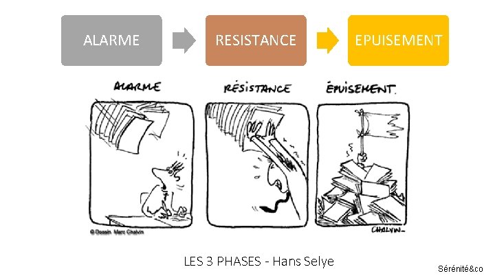 ALARME RESISTANCE LES 3 PHASES - Hans Selye EPUISEMENT Sérénité&co 