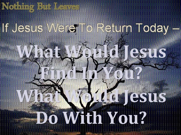 Nothing But Leaves If Jesus Were To Return Today – What Would Jesus Find