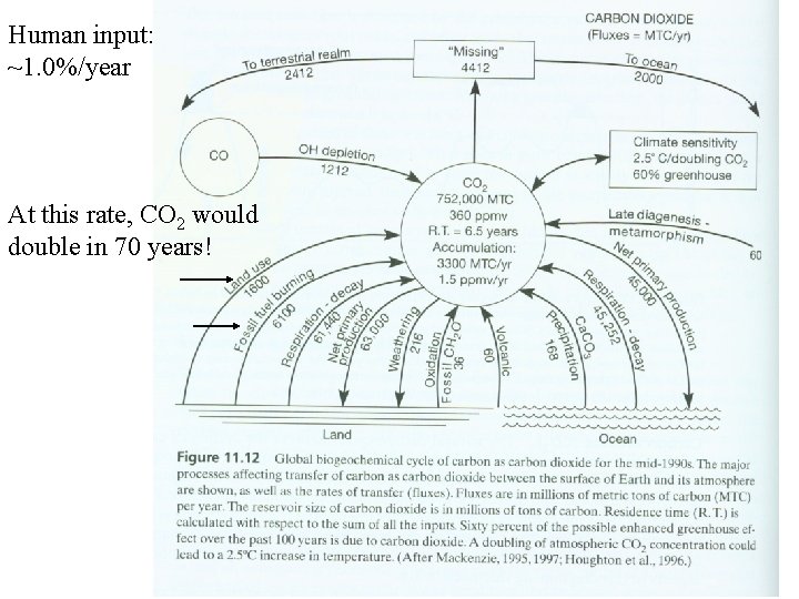 Human input: ~1. 0%/year At this rate, CO 2 would double in 70 years!
