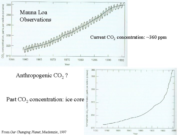 Mauna Loa Observations Current CO 2 concentration: ~360 ppm Anthropogenic CO 2 ? Past