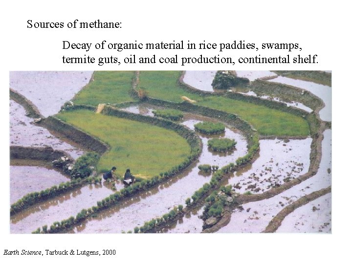 Sources of methane: Decay of organic material in rice paddies, swamps, termite guts, oil