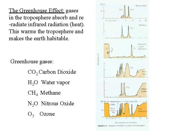 The Greenhouse Effect: gases in the troposphere absorb and re -radiate infrared radiation (heat).
