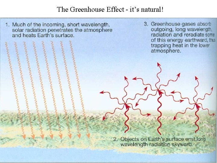 The Greenhouse Effect - it’s natural! 