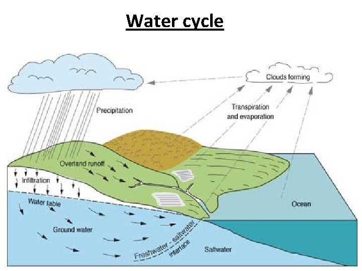 Water cycle 