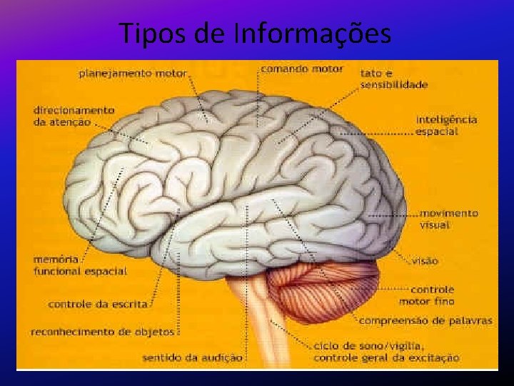 Tipos de Informações 