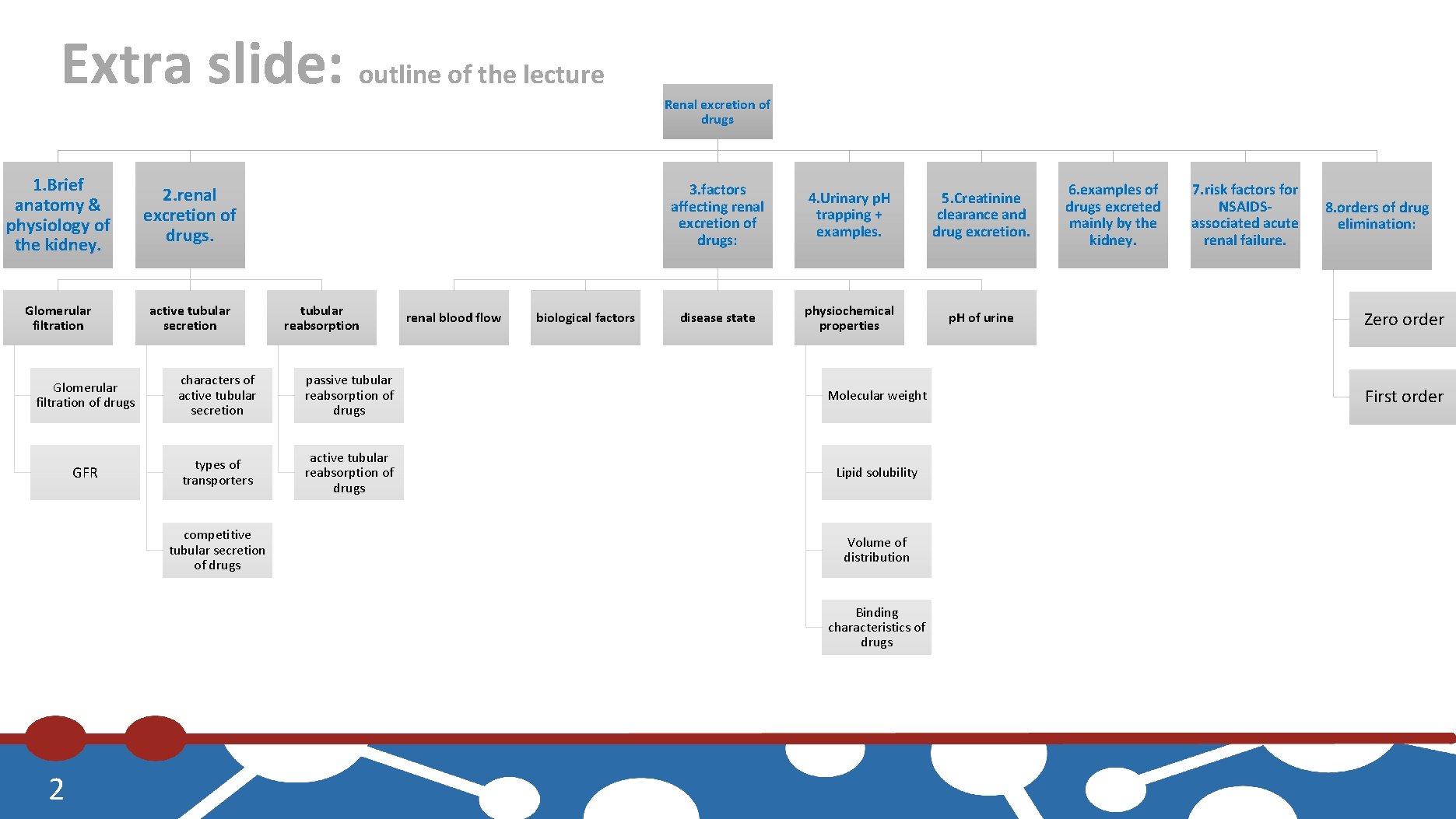 Extra slide: outline of the lecture 1. Brief anatomy & physiology of the kidney.