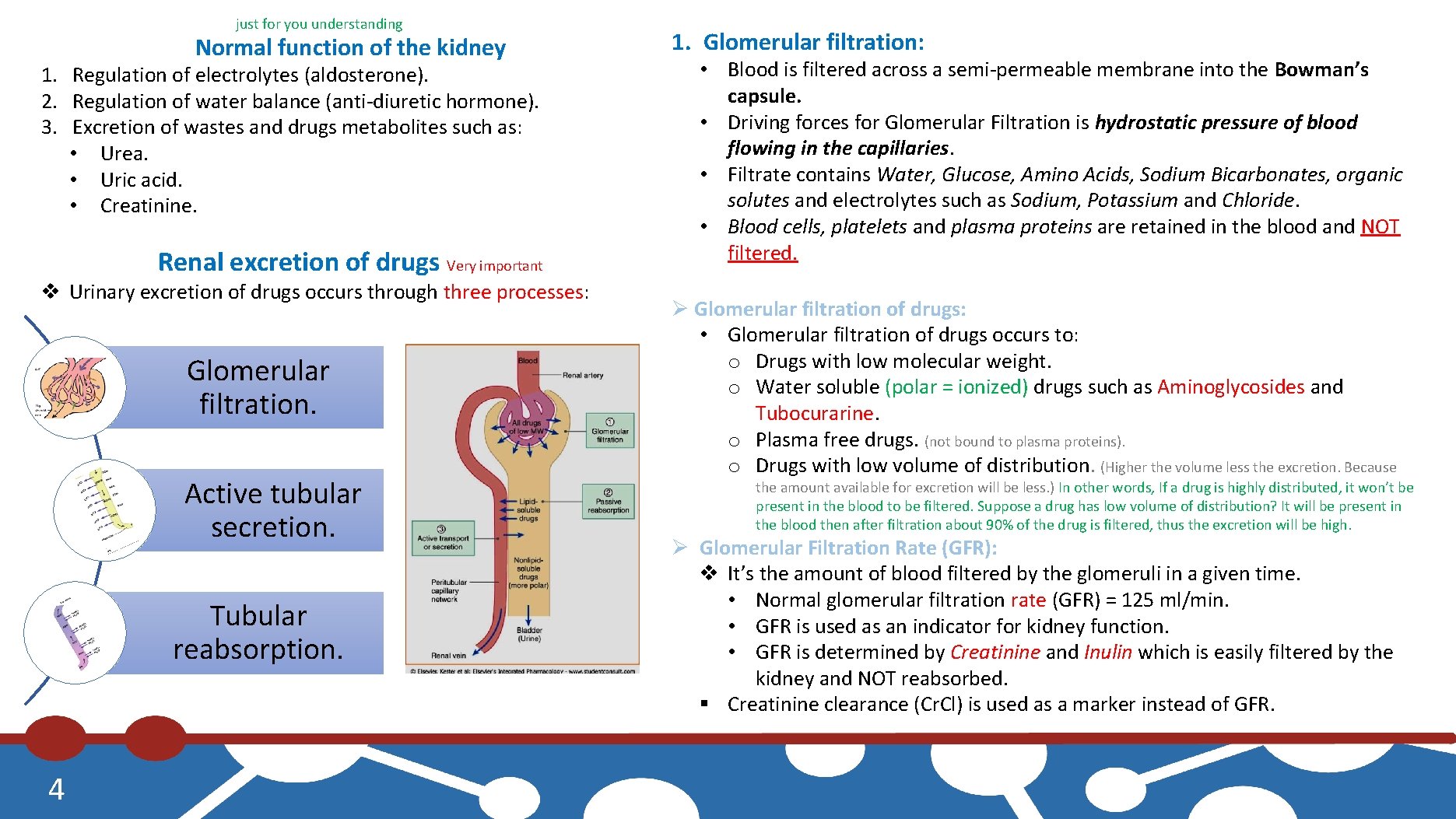 just for you understanding Normal function of the kidney 1. Regulation of electrolytes (aldosterone).