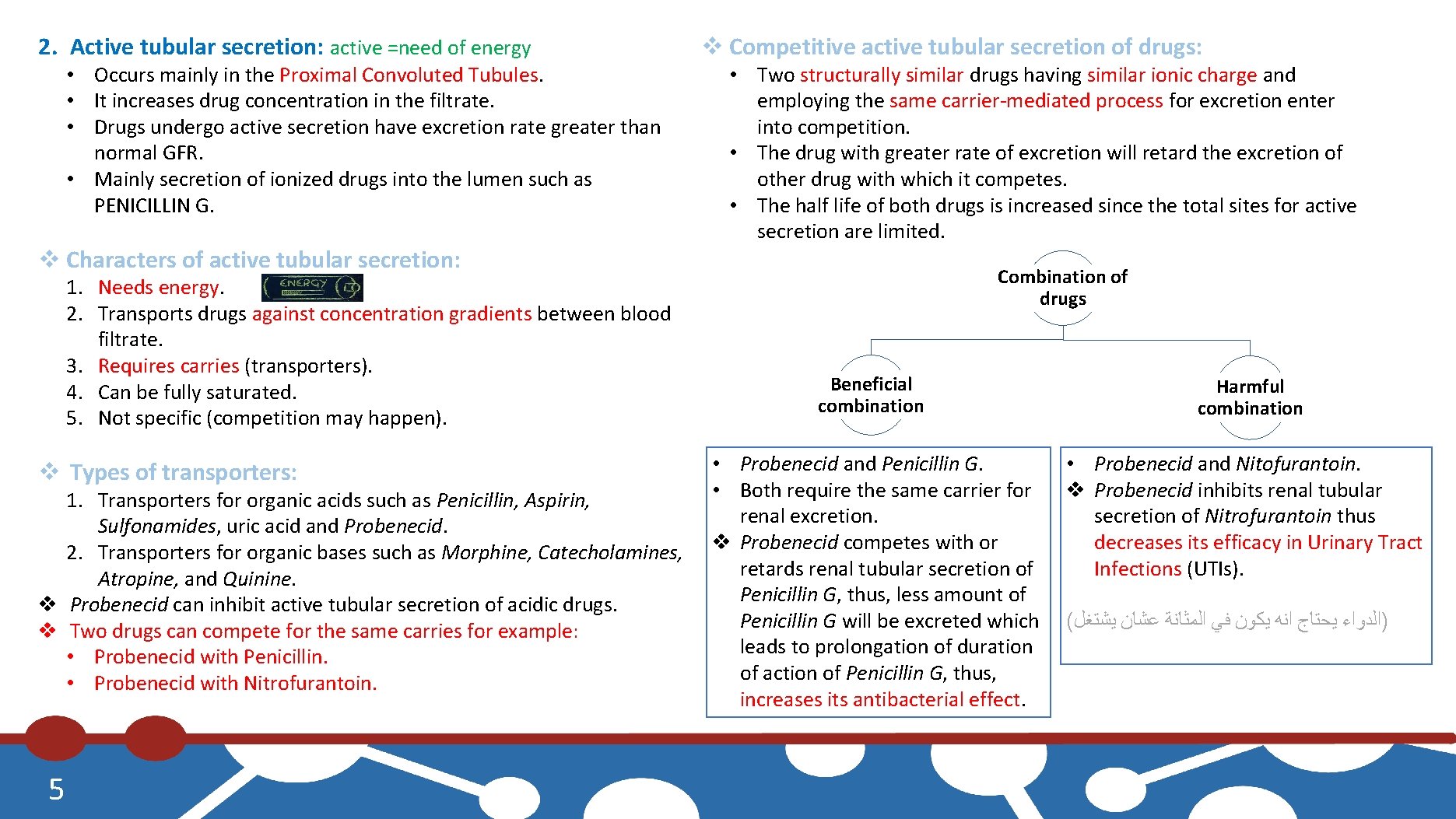 2. Active tubular secretion: active =need of energy • Occurs mainly in the Proximal