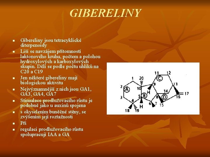 GIBERELINY n n n n Gibereliny jsou tetracyklické diterpenoidy Liší se navzájem přítomností laktonového