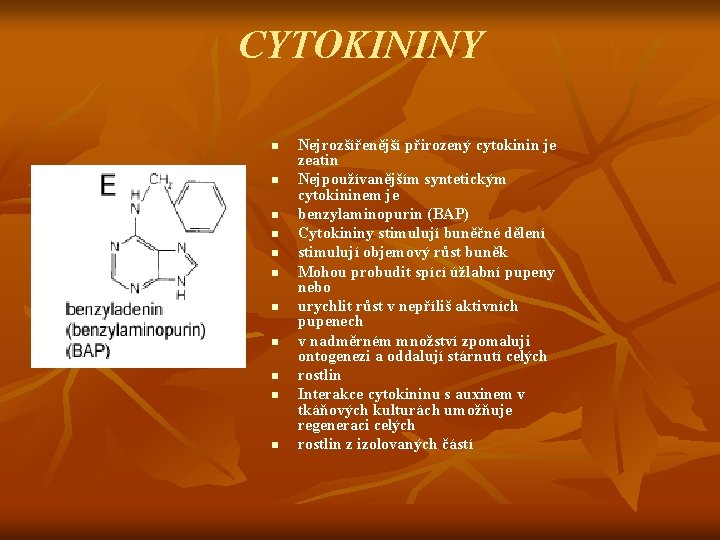 CYTOKININY n n n Nejrozšířenější přirozený cytokinin je zeatin Nejpoužívanějším syntetickým cytokininem je benzylaminopurin