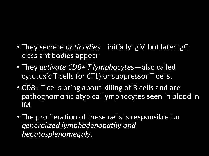  • They secrete antibodies—initially Ig. M but later Ig. G class antibodies appear
