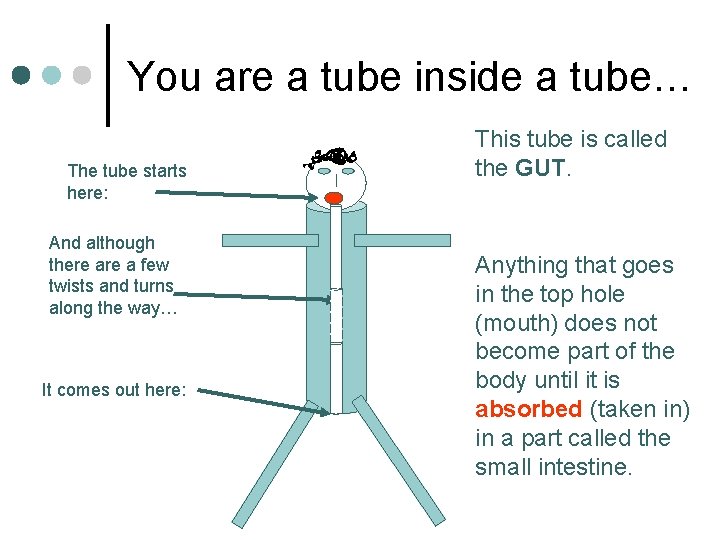 You are a tube inside a tube… The tube starts here: And although there