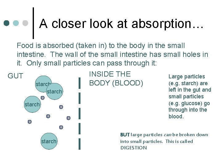A closer look at absorption… Food is absorbed (taken in) to the body in