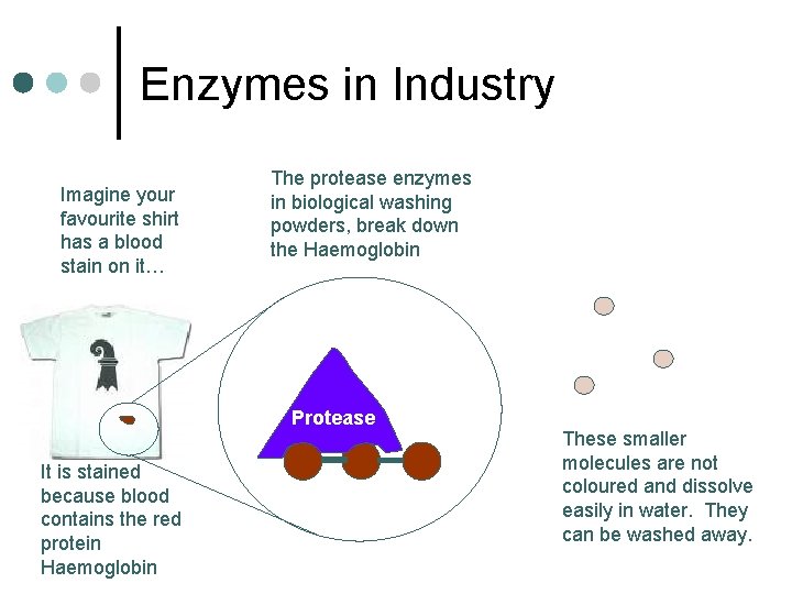 Enzymes in Industry Imagine your favourite shirt has a blood stain on it… The