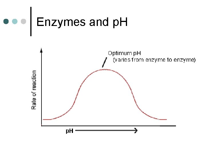 Enzymes and p. H 