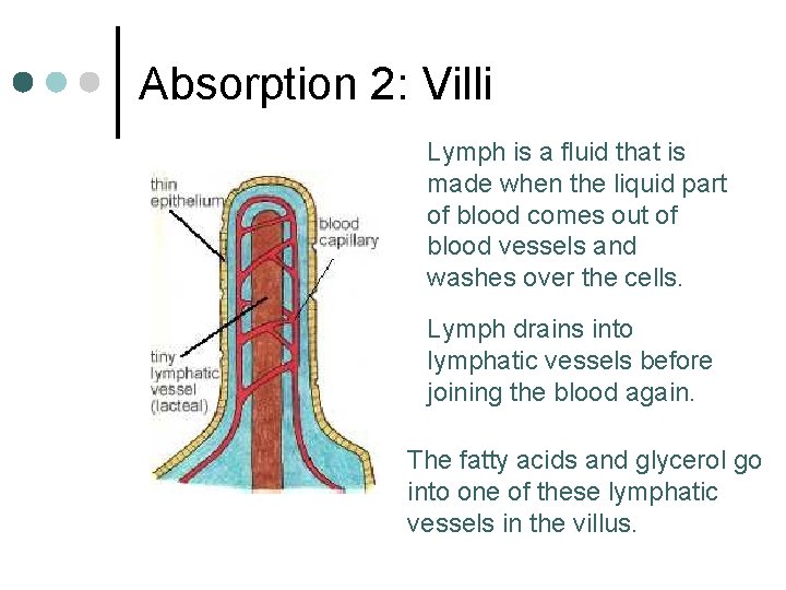 Absorption 2: Villi Lymph is a fluid that is made when the liquid part