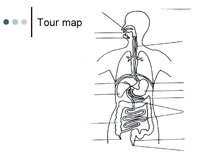 Tour map 