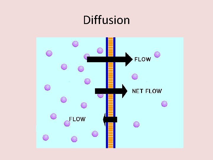 Diffusion 