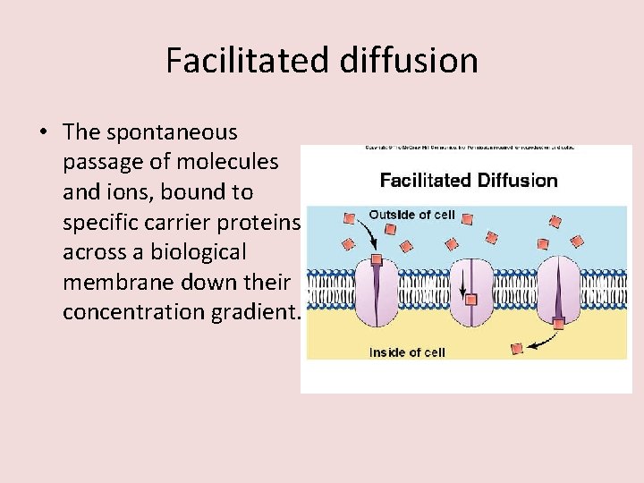 Facilitated diffusion • The spontaneous passage of molecules and ions, bound to specific carrier