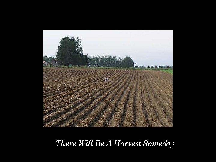 There Will Be A Harvest Someday 