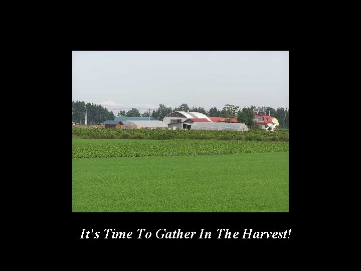 It’s Time To Gather In The Harvest! 