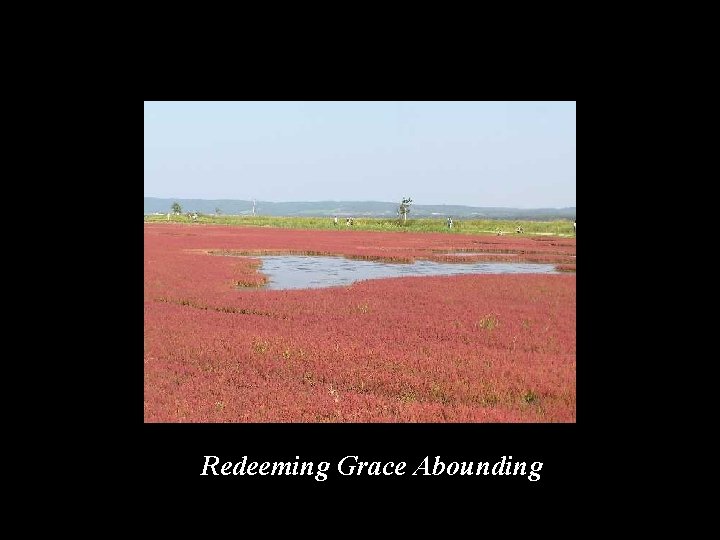 Redeeming Grace Abounding 