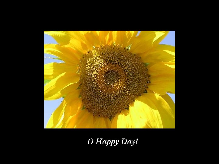 O Happy Day! 