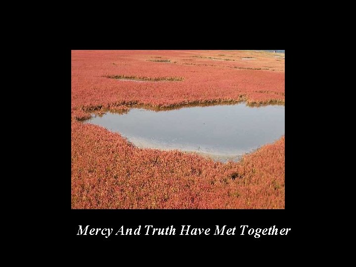 Mercy And Truth Have Met Together 