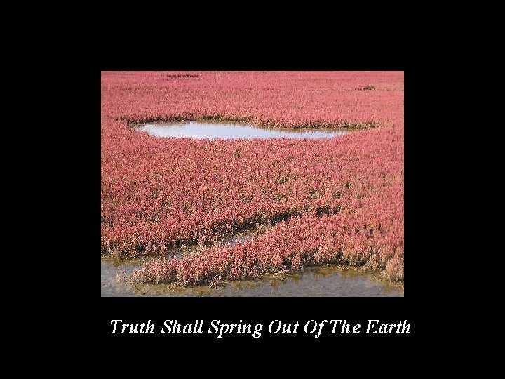 Truth Shall Spring Out Of The Earth 