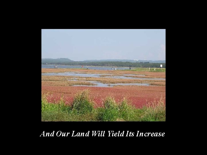 And Our Land Will Yield Its Increase 