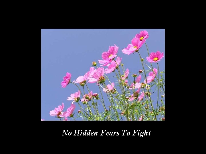 No Hidden Fears To Fight 