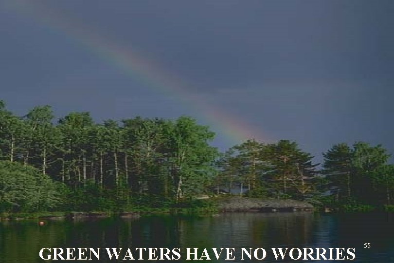 GREEN WATERS HAVE NO WORRIES 55 
