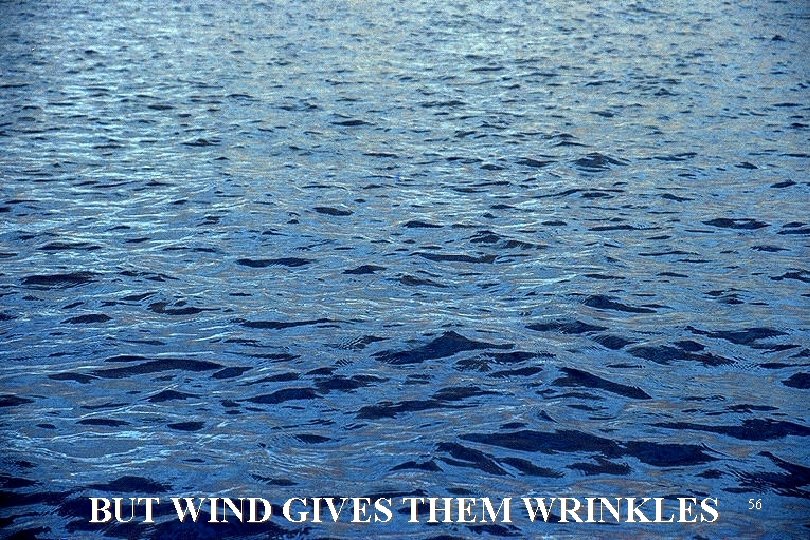 BUT WIND GIVES THEM WRINKLES 56 