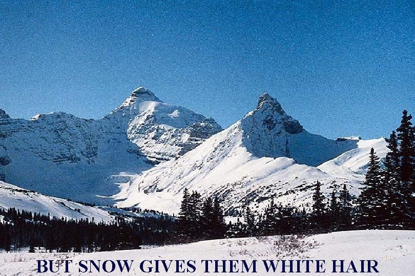 BUT SNOW GIVES THEM WHITE HAIR 58 