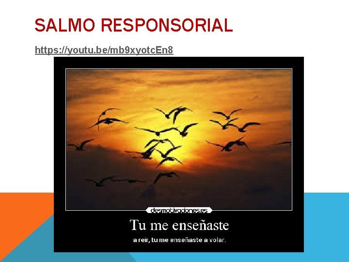 SALMO RESPONSORIAL https: //youtu. be/mb 9 xyotc. En 8 
