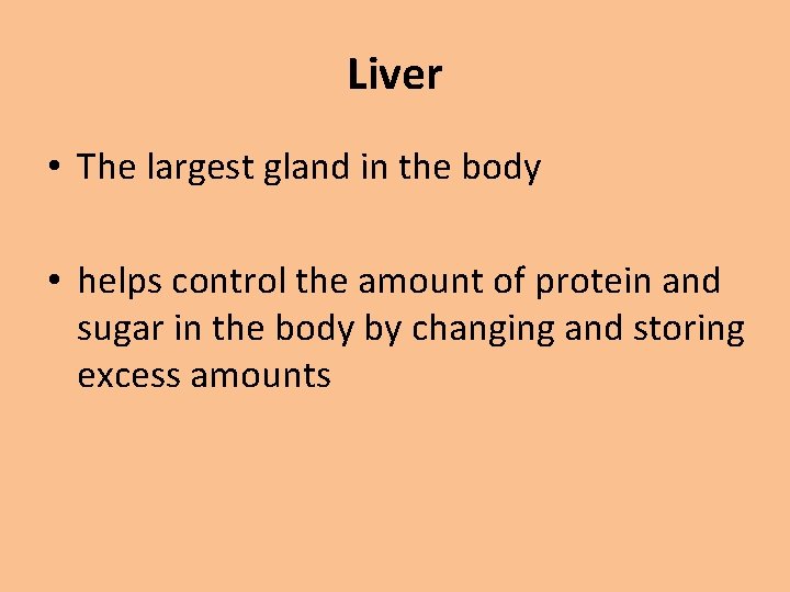 Liver • The largest gland in the body • helps control the amount of