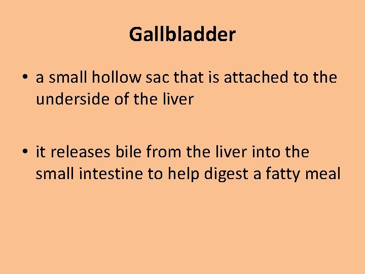 Gallbladder • a small hollow sac that is attached to the underside of the