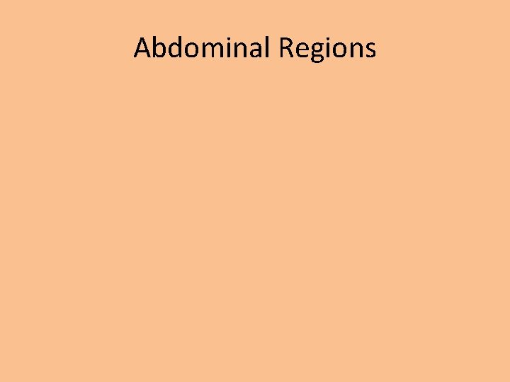 Abdominal Regions 