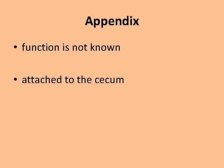 Appendix • function is not known • attached to the cecum 