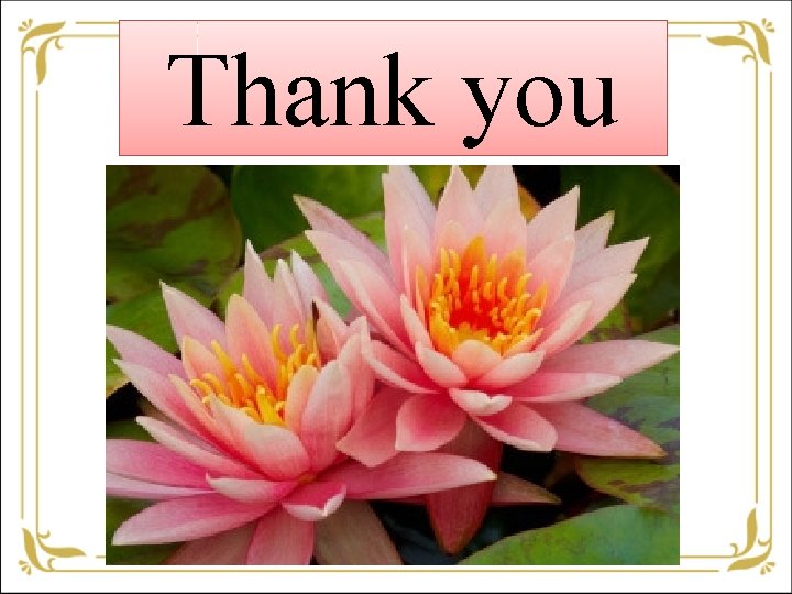 Thank you 