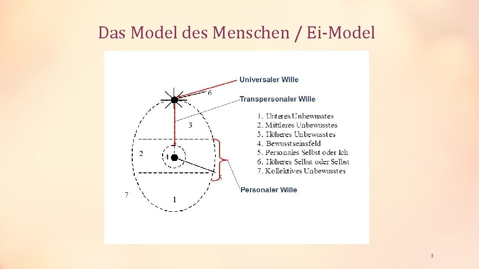 Das Model des Menschen / Ei-Model 3 