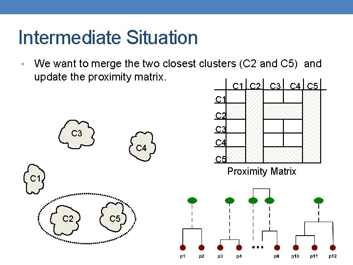 Intermediate Situation • We want to merge the two closest clusters (C 2 and