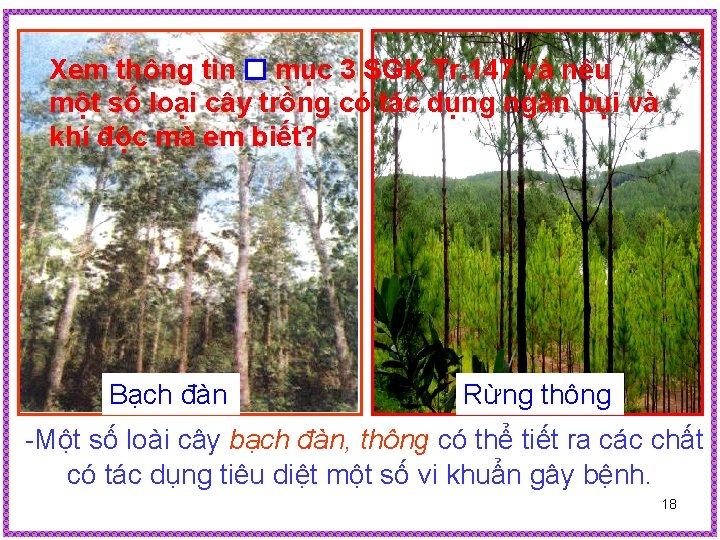 Xem thông tin mục 3 SGK Tr. 147 và nêu một số loại cây