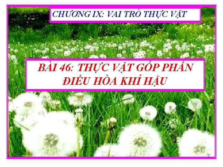 CHƯƠNG IX: VAI TRÒ THỰC VẬT BÀI 46: THỰC VẬT GÓP PHẦN ĐIỀU HÒA