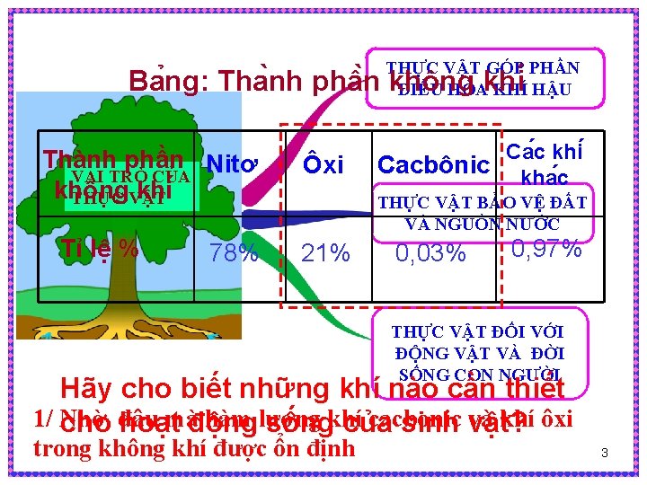 THỰC VẬT GÓP PHẦN ĐIỀU HÒA KHÍ HẬU Ba ng: Tha nh phâ n